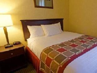 Best Western Plus Ticonderoga Quarto foto